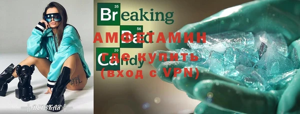 мдпв Вяземский