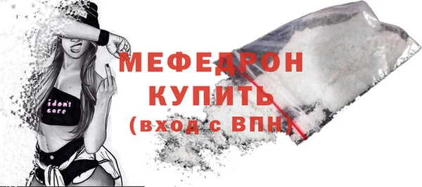 мдпв Вяземский