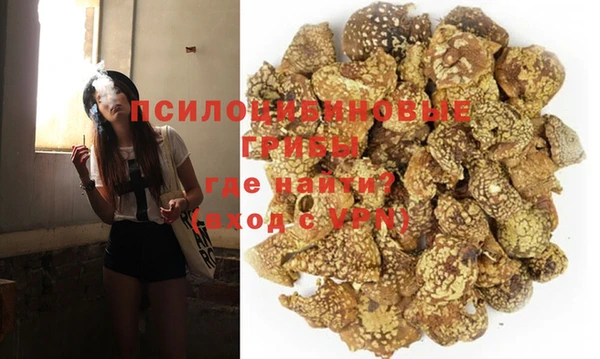 PSILOCYBIN Вязники