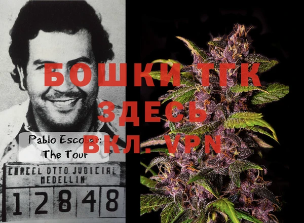 PSILOCYBIN Вязники