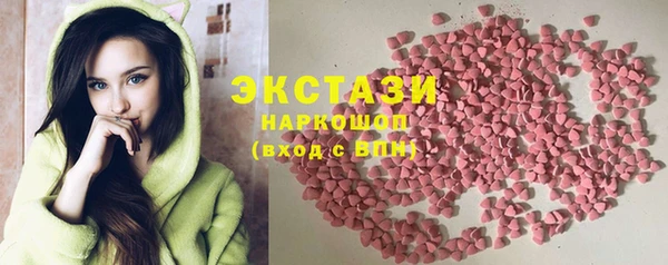 мдпв Вяземский