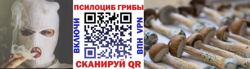 Псилоцибиновые грибы GOLDEN TEACHER  Купить закладки  Краснозаводск 